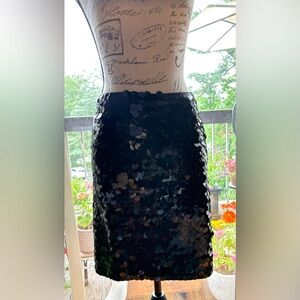 Sequin Disc Pencil Skirt - Black
Large
Like New
